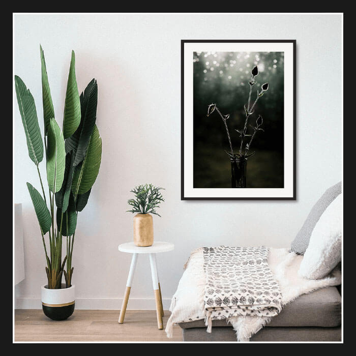 Forside_top_1_INTERIOR_mat_black