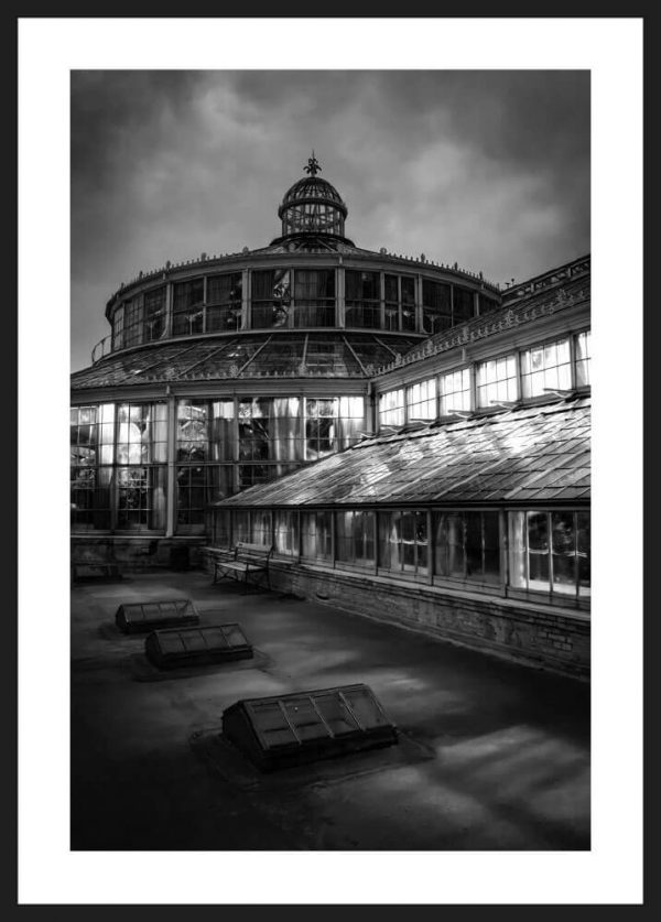 the palm house ramme bw