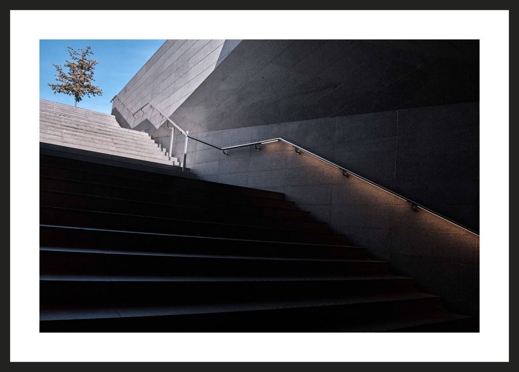 tree and stairs
